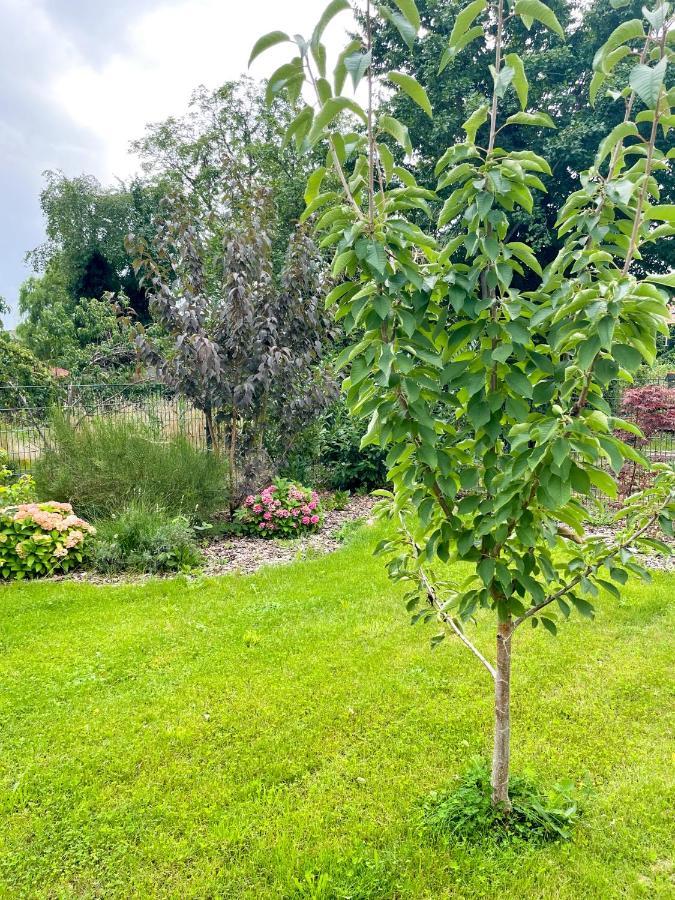 Ferienwohnung Kamrath Mit Wunderschoenem Ausblick Neuruppin Dış mekan fotoğraf