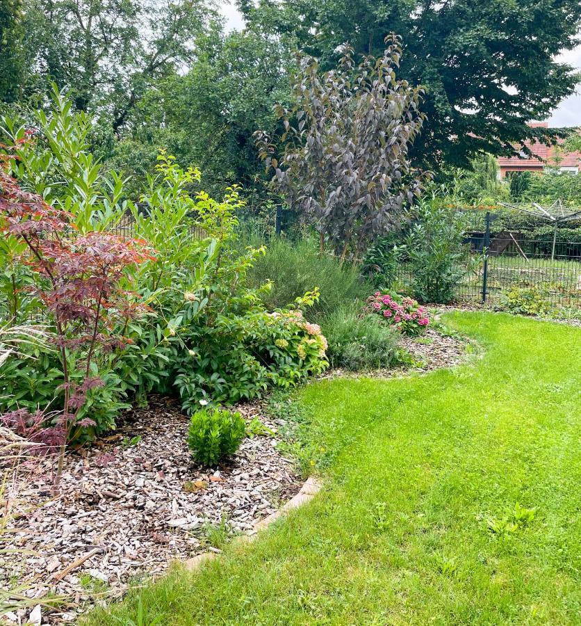 Ferienwohnung Kamrath Mit Wunderschoenem Ausblick Neuruppin Dış mekan fotoğraf